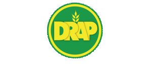 drap