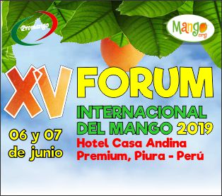 xv